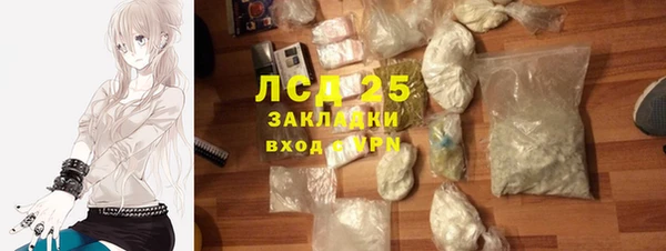 трава Осинники