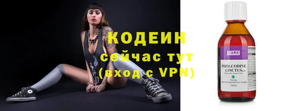 трава Осинники