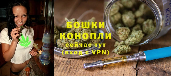 трава Осинники