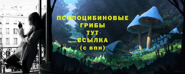 трава Осинники