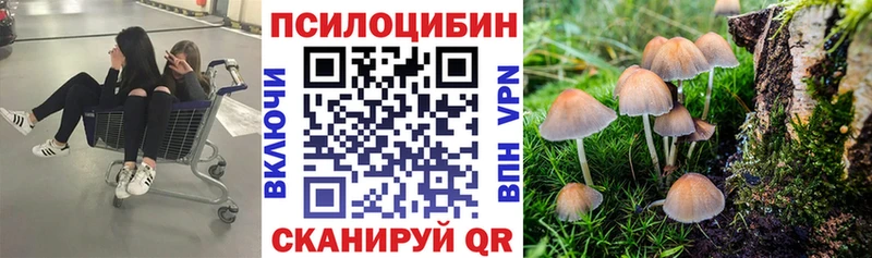 Псилоцибиновые грибы Psilocybine cubensis  OMG зеркало  Шумерля 